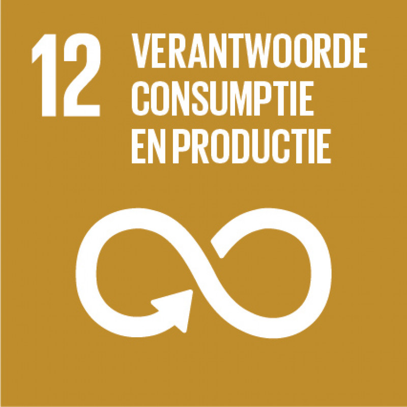 SDG nummer 12